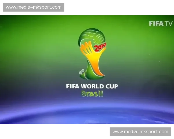 潘帕斯雄鹰与橙色风暴的对决：2014巴西世界杯的经典瞬间